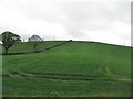 Cultivated grassland on a drumlin west of the A22