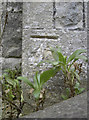 Benchmark on Keynsham public hall