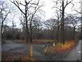 Car park on Burnham Beeches