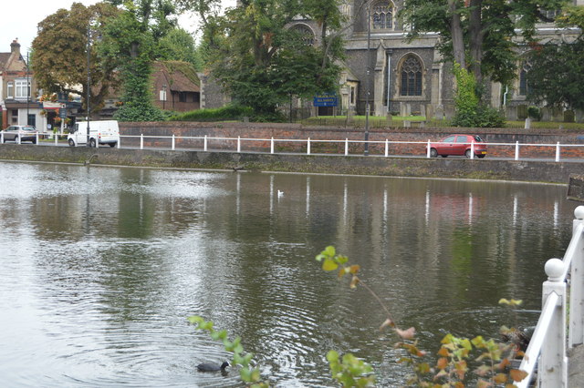 Carshalton Lower Pond