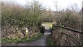 Footpath to Rooley Tops