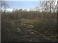 SD4973 : Tree clearing, Warton Crag by Karl and Ali
