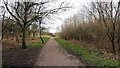 Footpath to the Brierley Forest Park main entrance