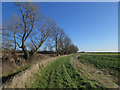 Footpath by Grunty Fen Catchwater Drain