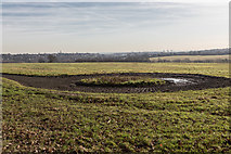 TQ2997 : Farmland near Williams Wood, Trent Park by Christine Matthews