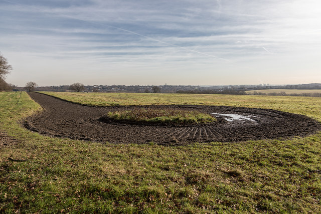 Farmland near Williams Wood, Trent Park