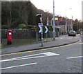 SJ3057 : Queen Elizabeth II pillarbox, Castle Street, Caergwrle, Flintshire by Jaggery