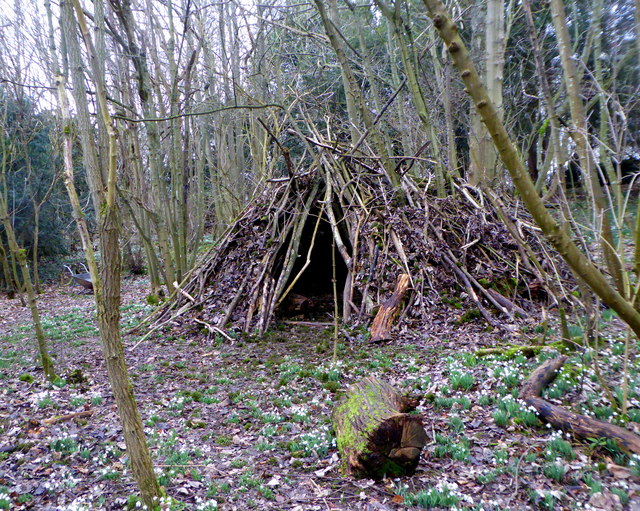 Lorenden Park © pam fray :: Geograph Britain and Ireland