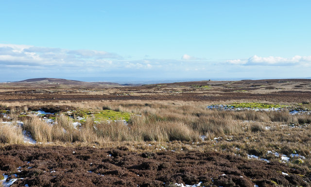 Redmire Moor, Richmondshire - area information, map, walks and more