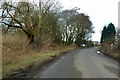 Road towards Lockeridge