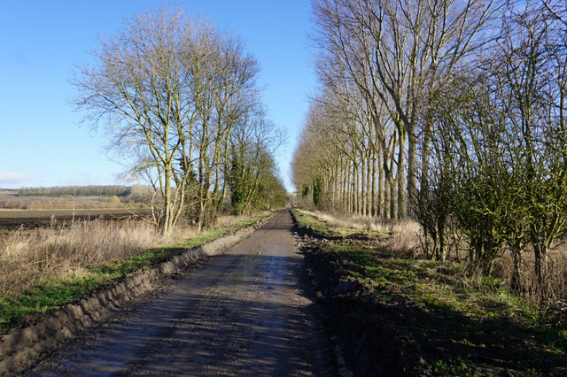 Carr Lane towards Worlaby