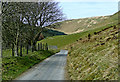 SN8057 : By-way to Strata Florida, in Powys by Roger  D Kidd