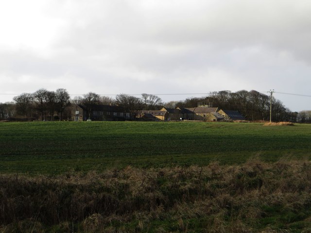 Looking towards Cresswell Home Farm
