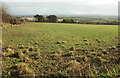 Field, Treglyn Farm