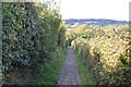 South West Coast Path