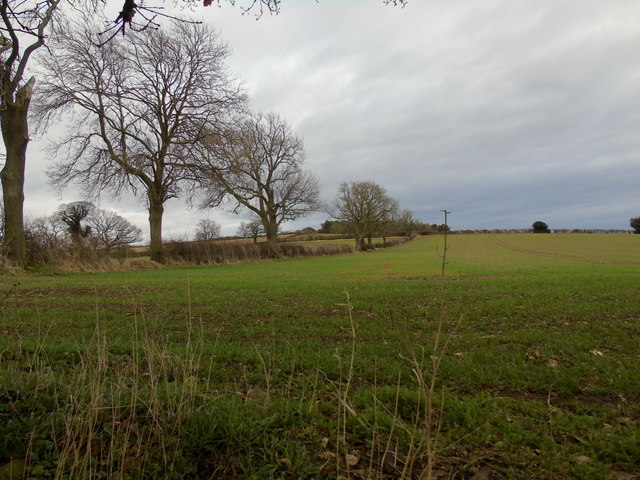 Broom Hill © Chris Heaton :: Geograph Britain and Ireland