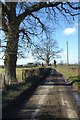 Country road near Twyford