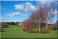 Open Ride in Beckenham Place Park