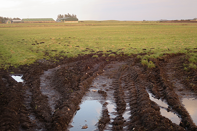 Field with Ruts © Anne Burgess cc-by-sa/2.0 :: Geograph Britain and Ireland