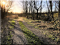 Path at Chisnall Hall Nature Reserve