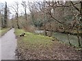 Frome Valley Walkway