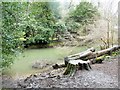 Frome Valley Walkway