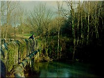 ST6176 : Wickham Bridge Bristol by norman griffin