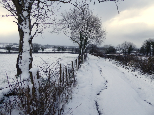 Snow Along A Country Lane, Ballynaquilly © Kenneth Allen Cc-by-sa 2.0 