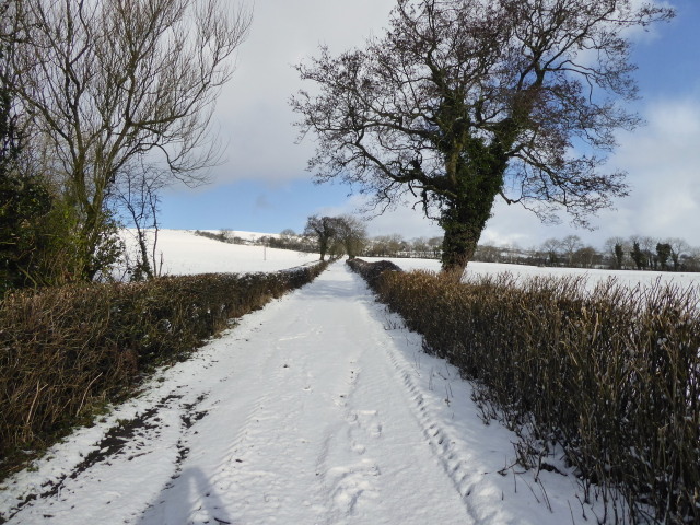 Snow along a country lane, Ballynaquilly © Kenneth Allen cc-by-sa/2.0 ...