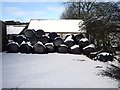 Snow-covered silage bales, Maine