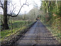 SO3159 : No through road to Oakwood Farm by Philip Halling