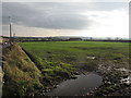 SE2313 : Muddy field off Jagger Lane by Stephen Craven