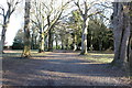 Track in Corsehill Park