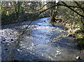 The Frome below the old Winterbourne Mill