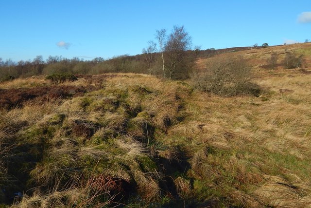 Eastern edge of the Fairy Knowe © Lairich Rig cc-by-sa/2.0 :: Geograph ...