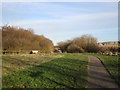 Bottesford Beck Linear Park