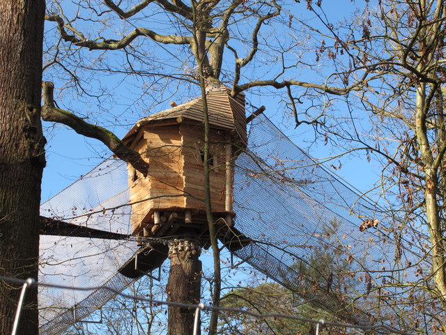 Tree house with net walkways, "Go Ape" in Black Park
