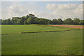 ST1321 : Somerset farmland by N Chadwick