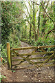 Bridleway in Allen valley