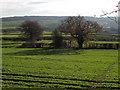 Fields south of Woodhouse Farm