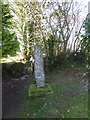 Stone cross, Manaton churchyard