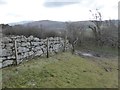 Wall on Easdon Tor