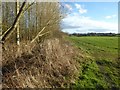 Farmland near Lewis Wych