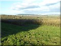 View to the Shobdon Hills