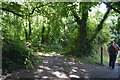 South West Coast Path near Carrickowel Point