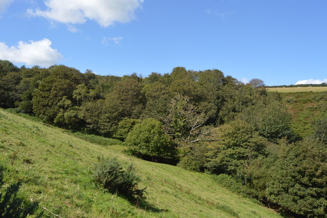 Wooded valley
