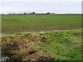 SE8127 : Farmland south of Bellasize Lane by Christine Johnstone