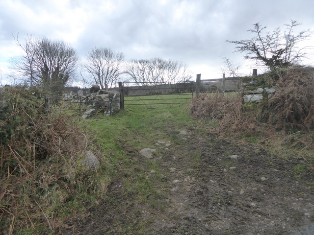 Two field gates with a granite wall between fields