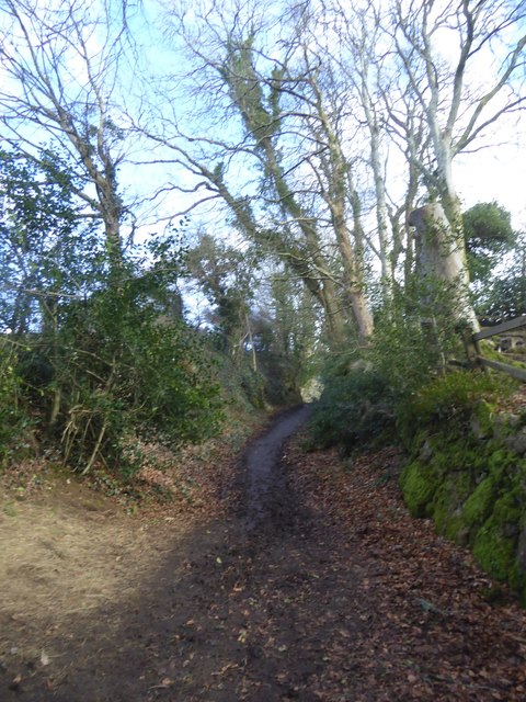 Path from Bovey Bridge to North Bovey church