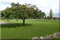 Sports field at Malvern St James girls school